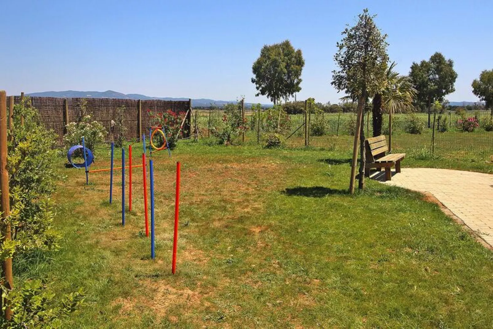 Holiday residence Rosa dei Venti, Vada-Bilo 5 Loft piano terra ponente-Gärten Sommer