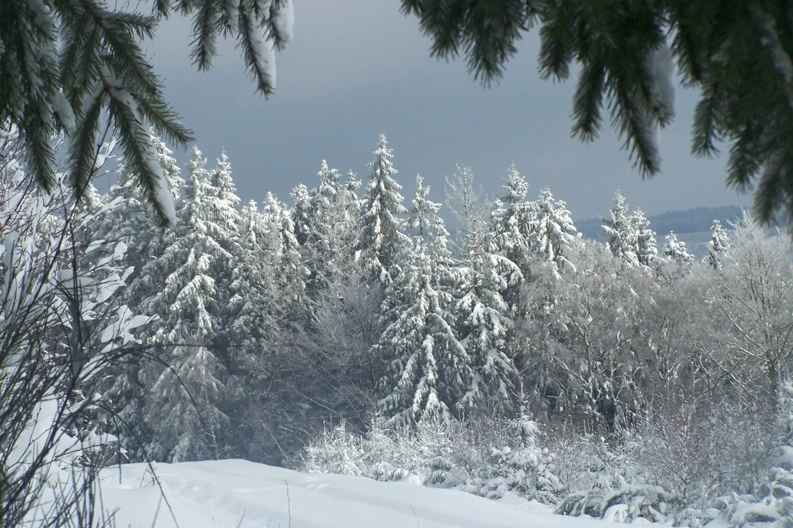 Au Pré Fleuri-Area winter 5km
