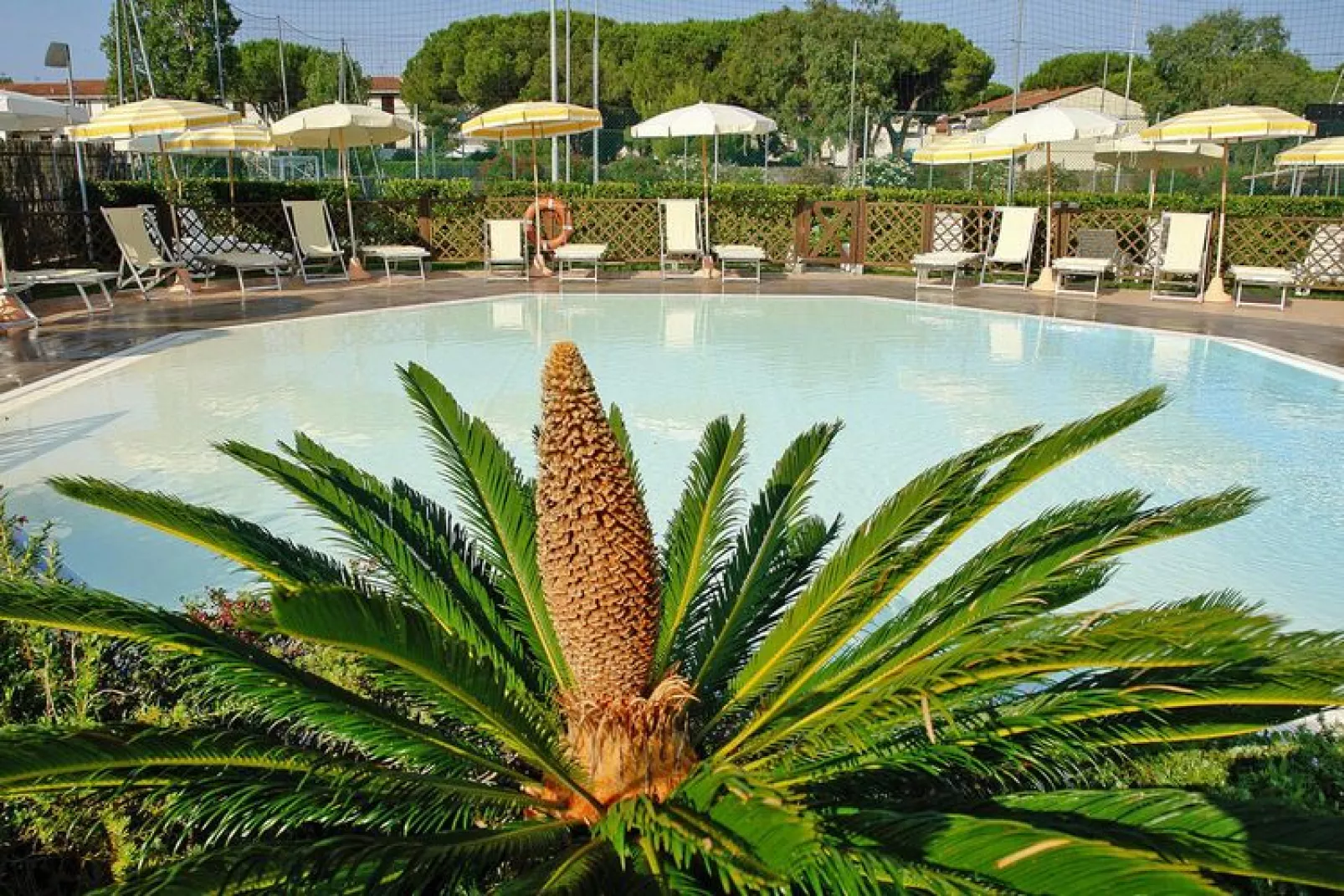Holiday residence Rosa dei Venti, Vada-Trilo 6-piano terra e 1 piano tramontana (+extras)-Piscine