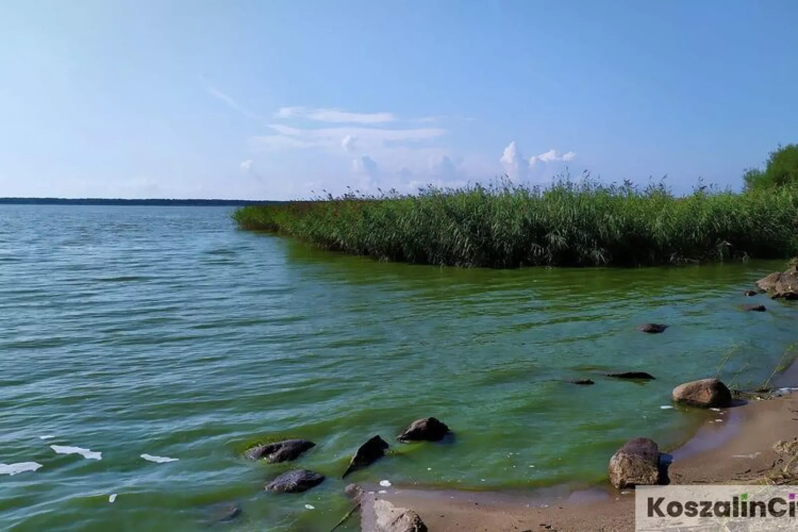 Domek letniskowy 50 m2 TYP A Osieki-Areas summer 1km