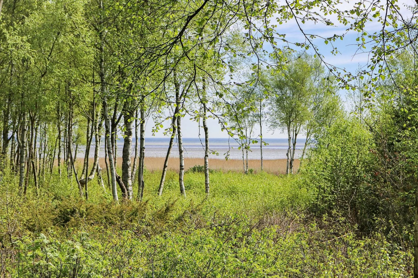 6 person holiday home in Hadsund