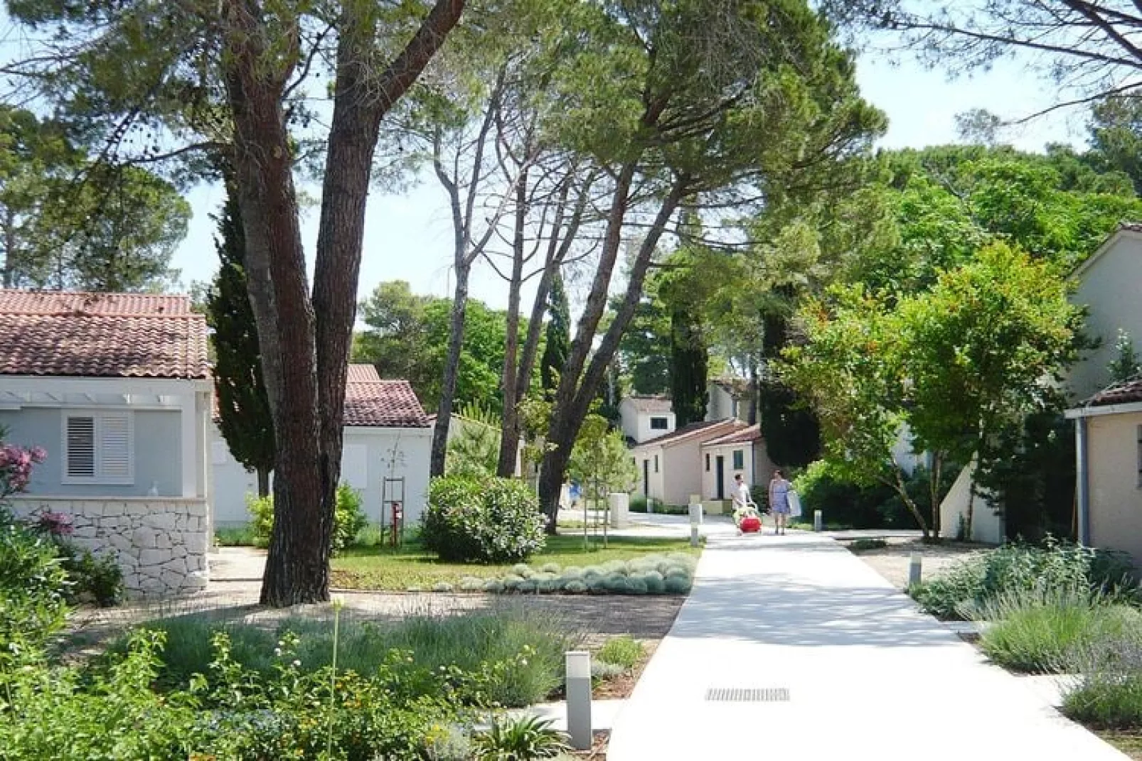 Zaton Holiday Resort - AP/2 Studio Superior 4 Stars 29qm 2-3 Pers-Gardens summer