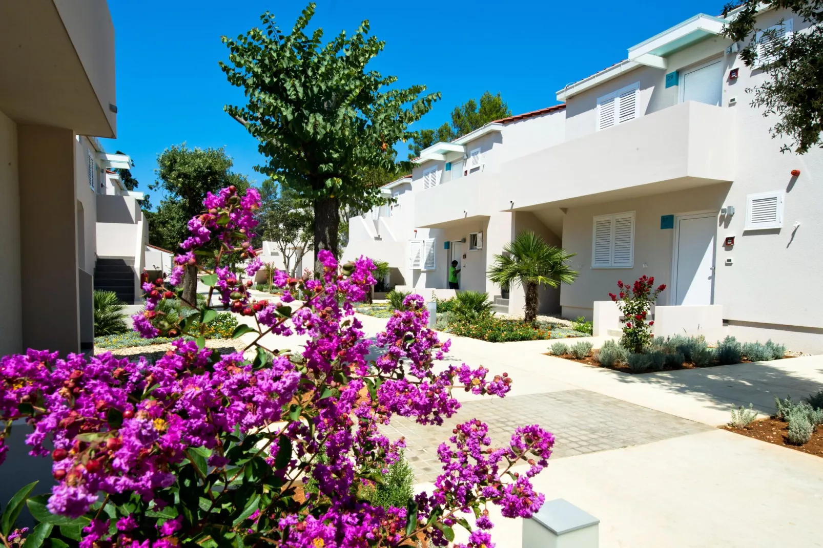 Zaton Holiday Resort - AP/2 Studio Superior 4 Stars 29qm 2-3 Pers-Gardens summer