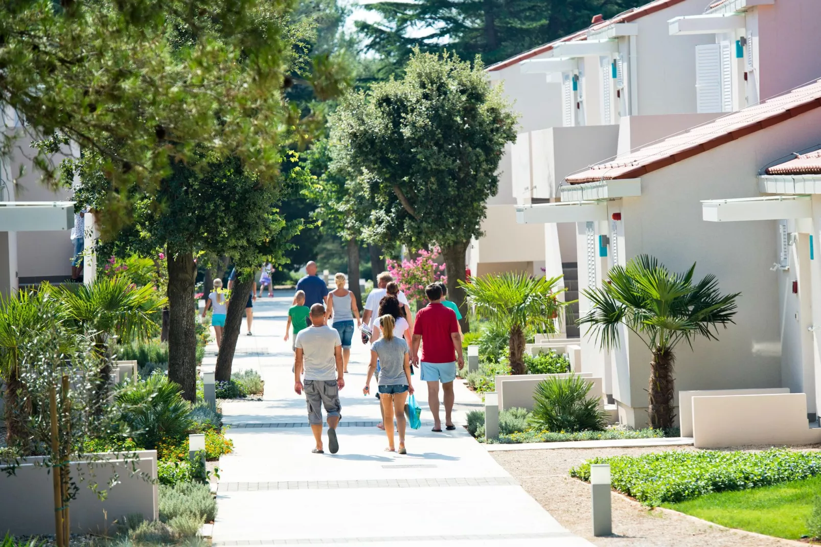 Zaton Holiday Resort - AP/2 Studio Superior 4 Stars 29qm 2-3 Pers-View summer