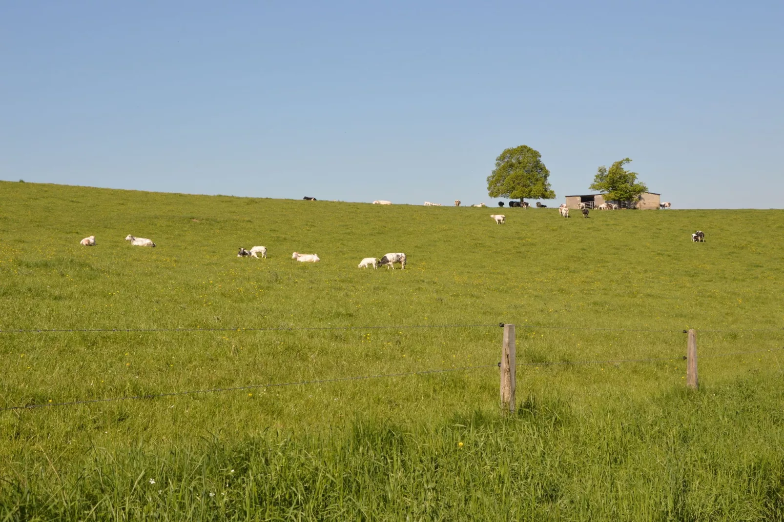 Prémassin-Gebiete Sommer 20 km
