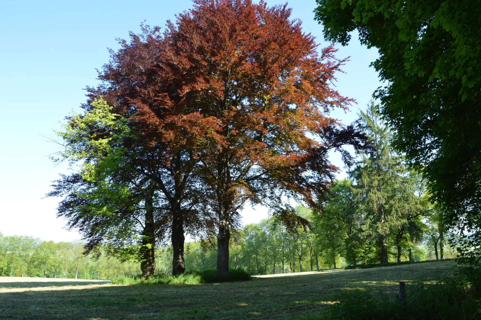 Prémassin-Gebiete Sommer 20 km