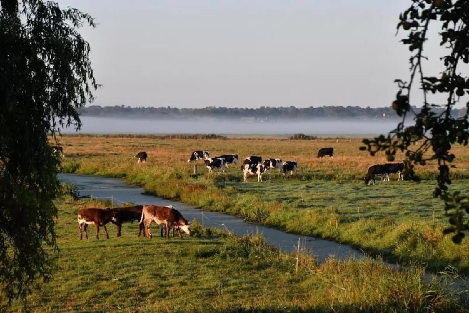 Gite Le Jonquet-Areas summer 1km
