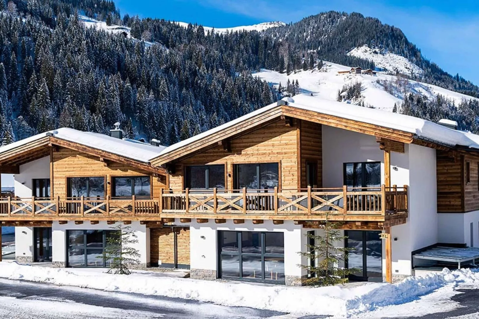 JUCHE FEWO - BLAUER SEE - Haus grün-Außenbereich Winter