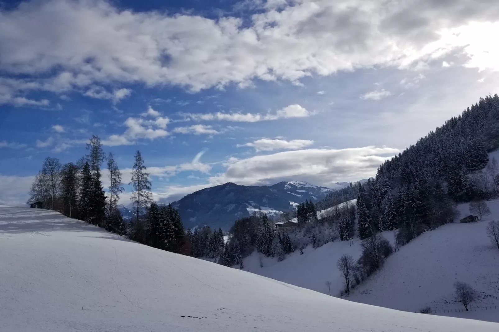 Apart Wildschönau 2-Gebiet Winter 20 km
