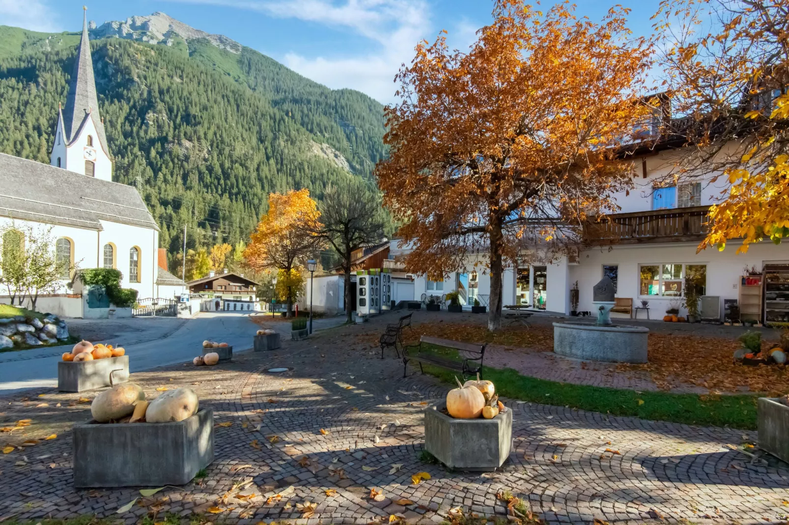 Haus Bergwald TOP 5-Areas summer 1km