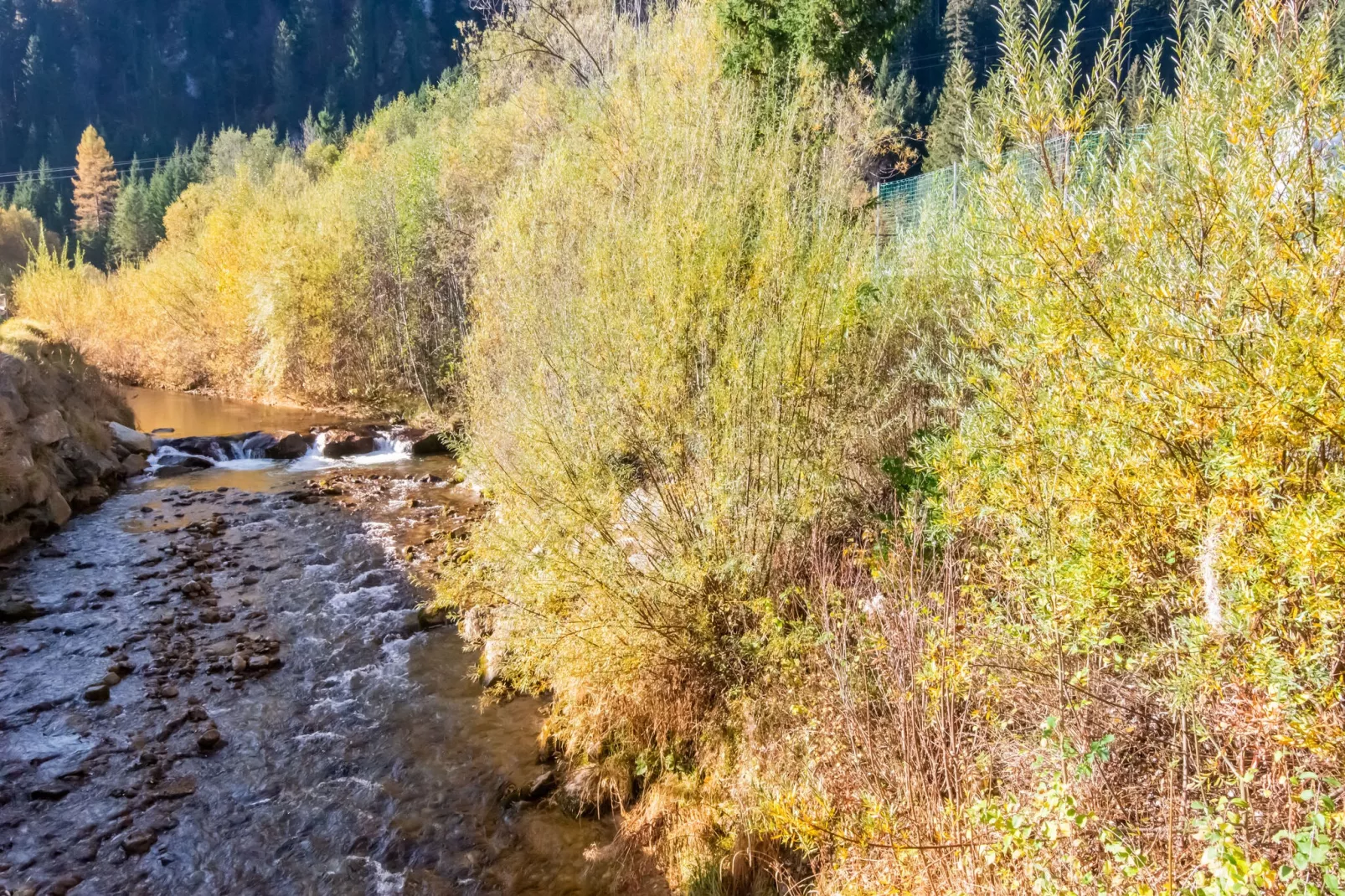 Haus Bergwald TOP 5-Areas summer 5km