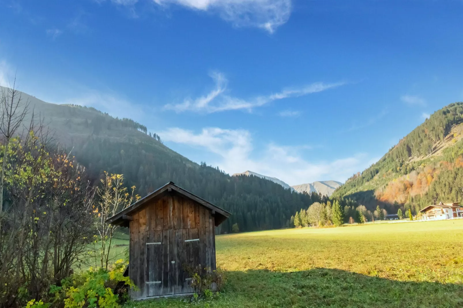 Haus Bergwald TOP 6-Gebiete Sommer 5 km