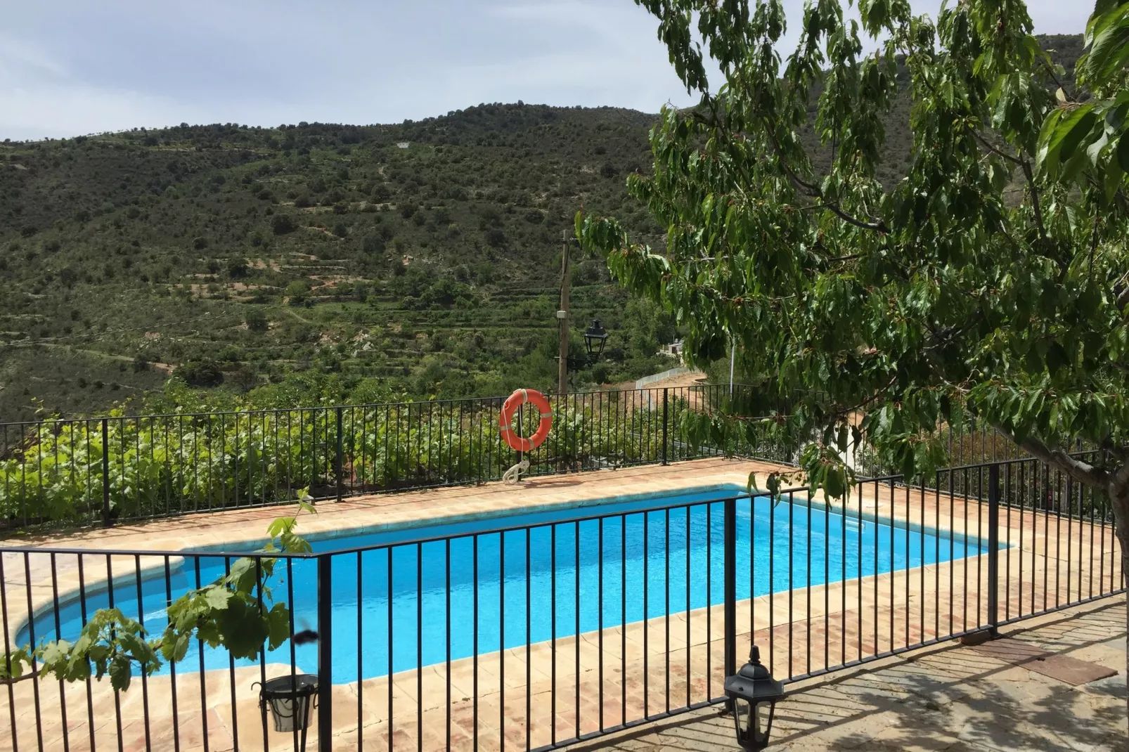 La Curiosa-View summer