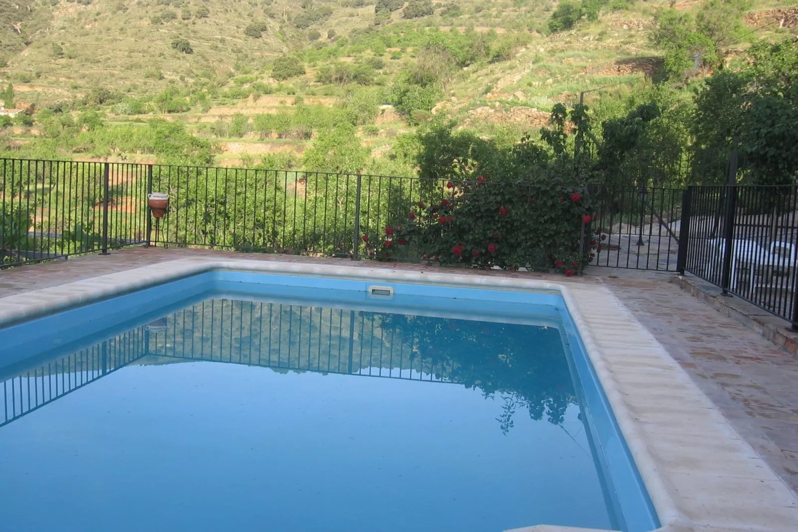 La Curiosa-Pool