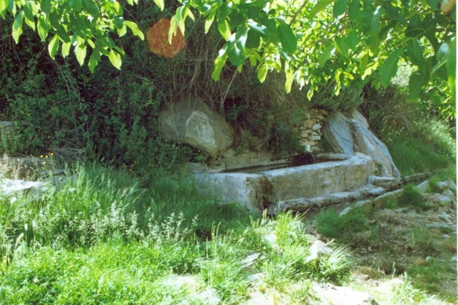 La Curiosa-Gardens summer