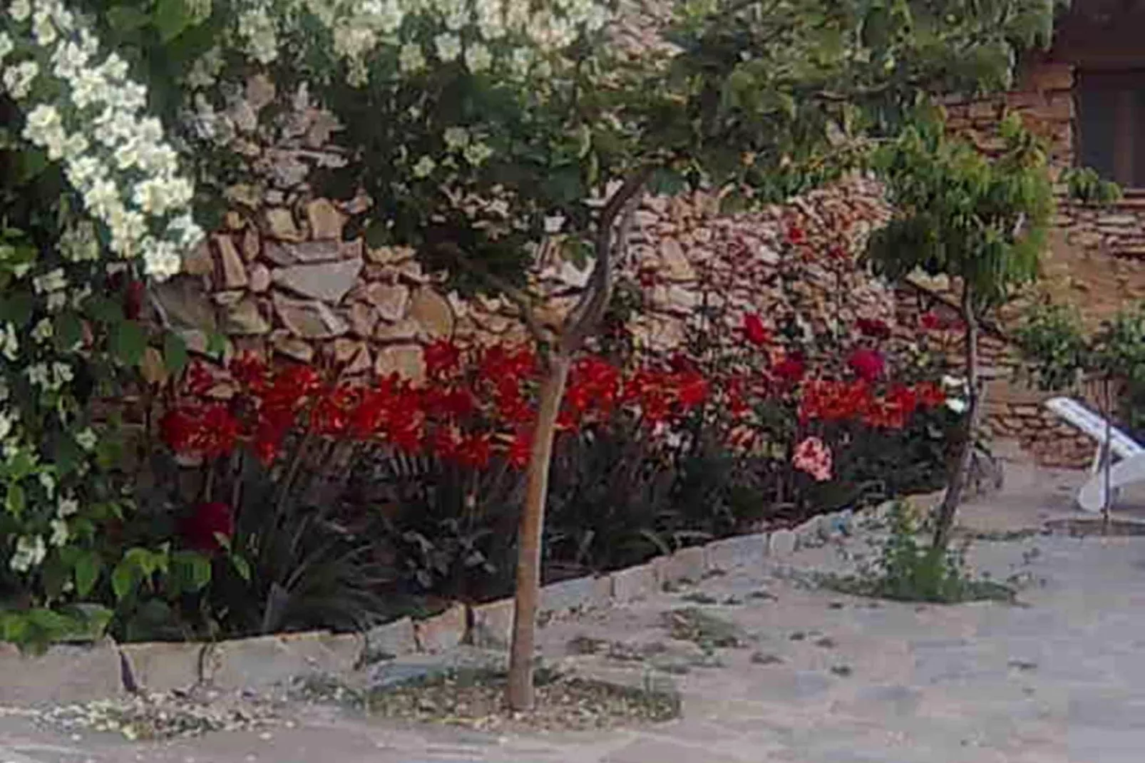 La Curiosa-Gardens summer