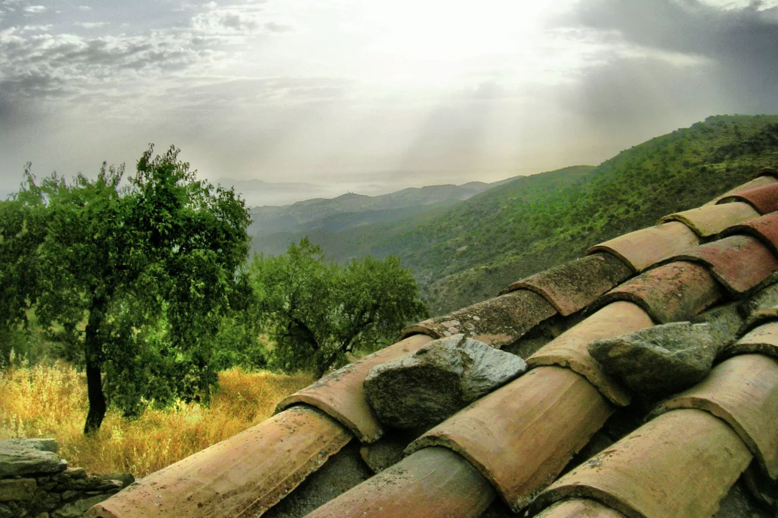 La Curiosa-View summer