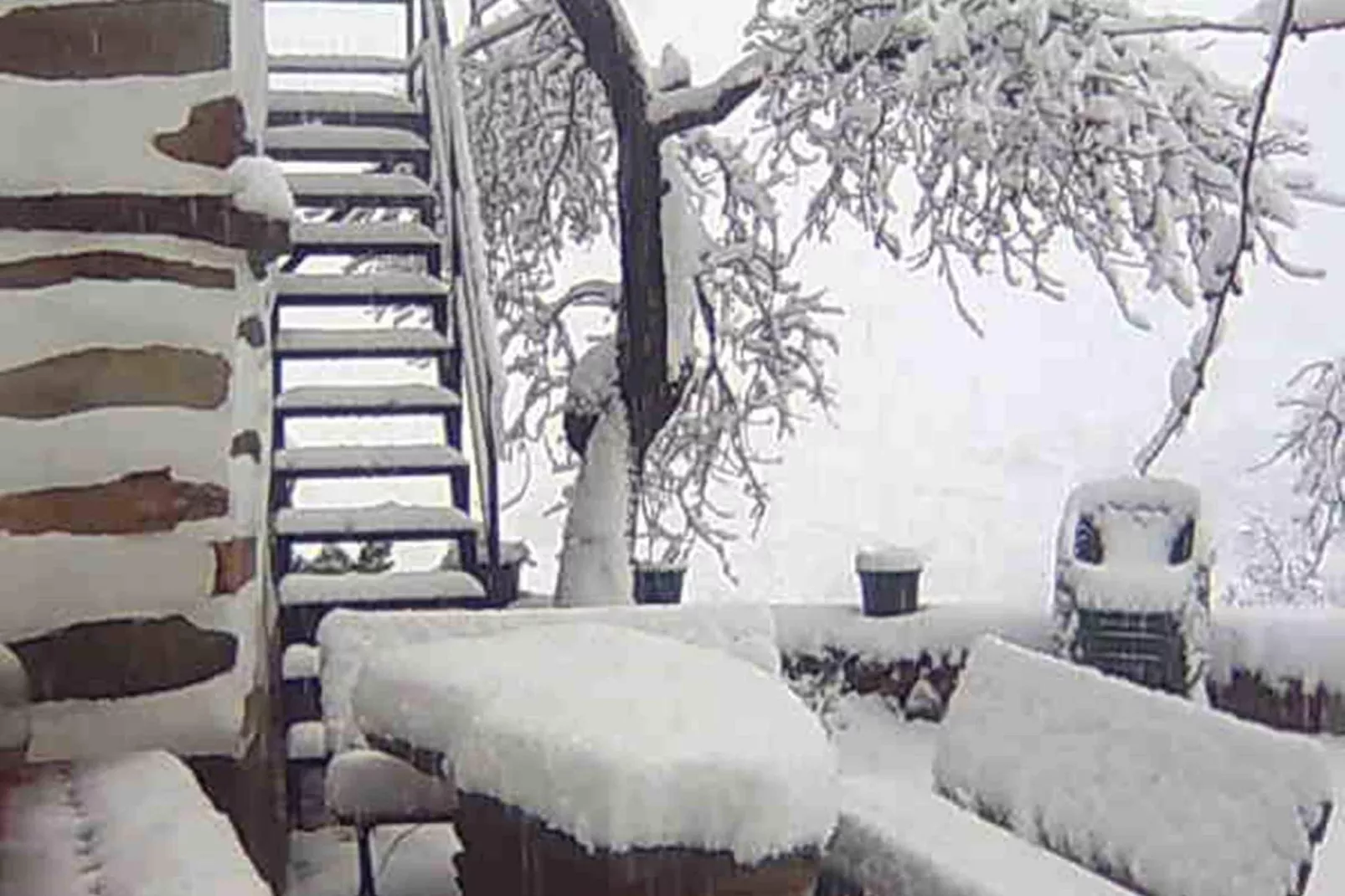 La Curiosa-Garden winter