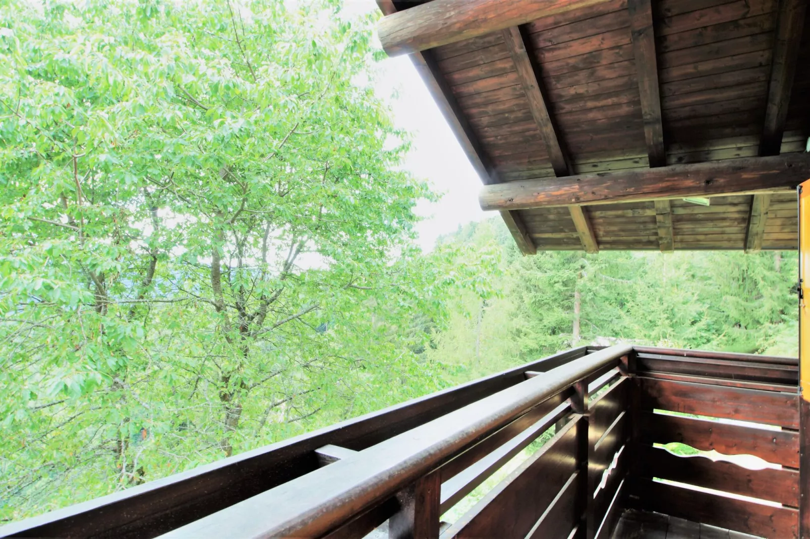 Chalet Noemi-Terrasse/Balkon