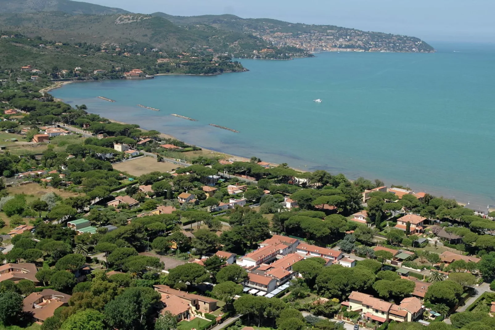 Nella-Areas summer 1km