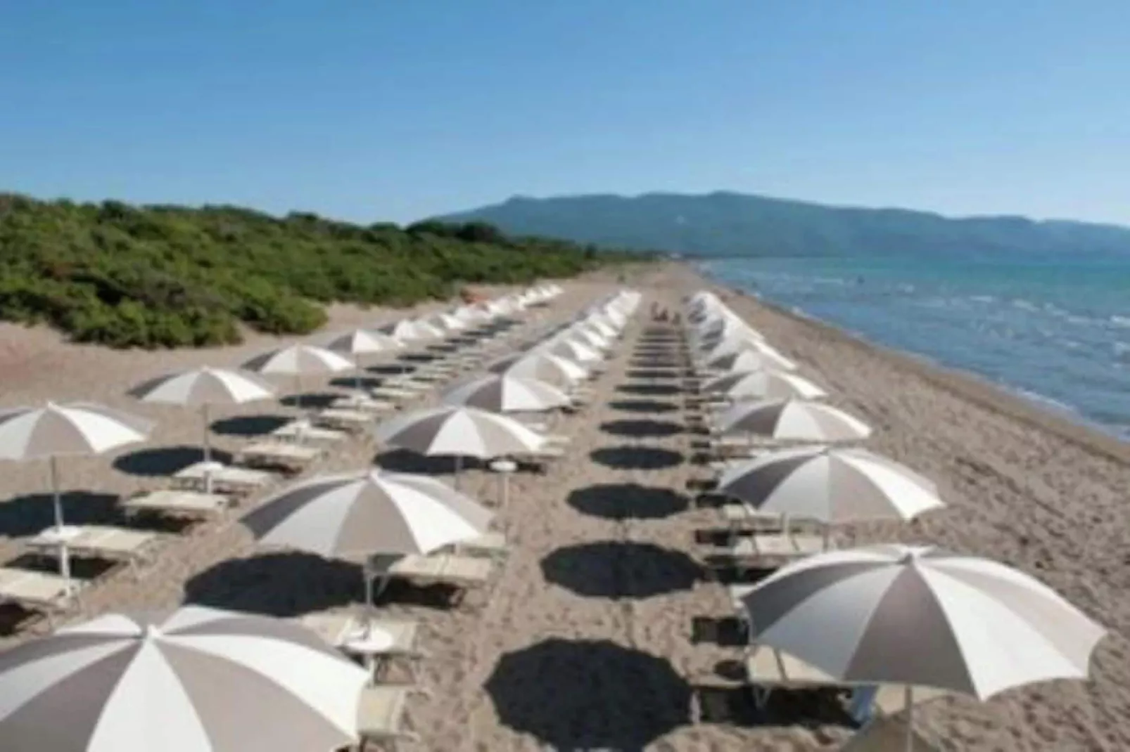 Nella-Areas summer 1km