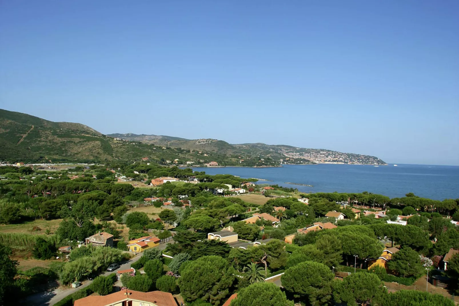 Iana-Areas summer 1km