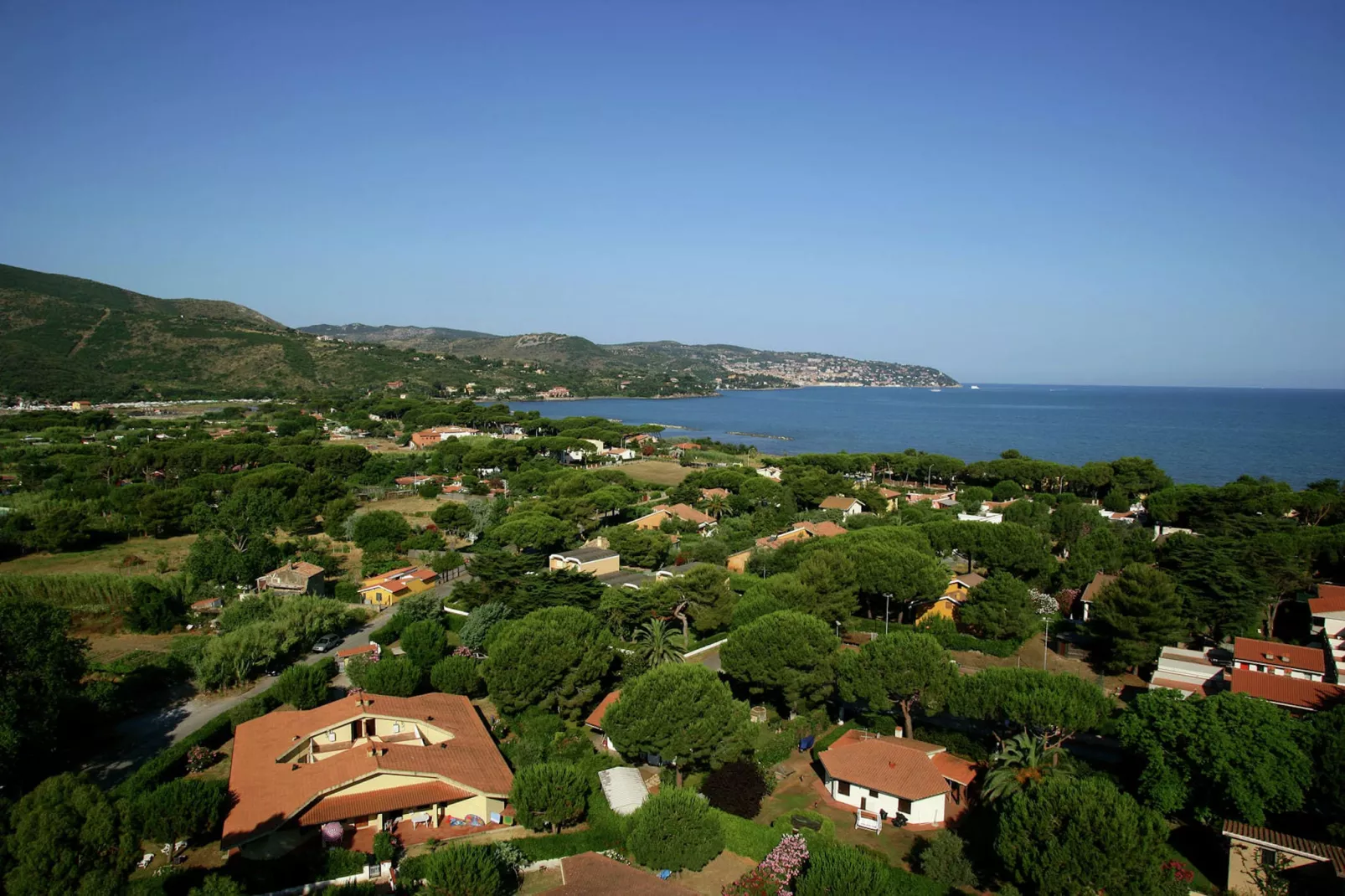 Iana-Areas summer 1km