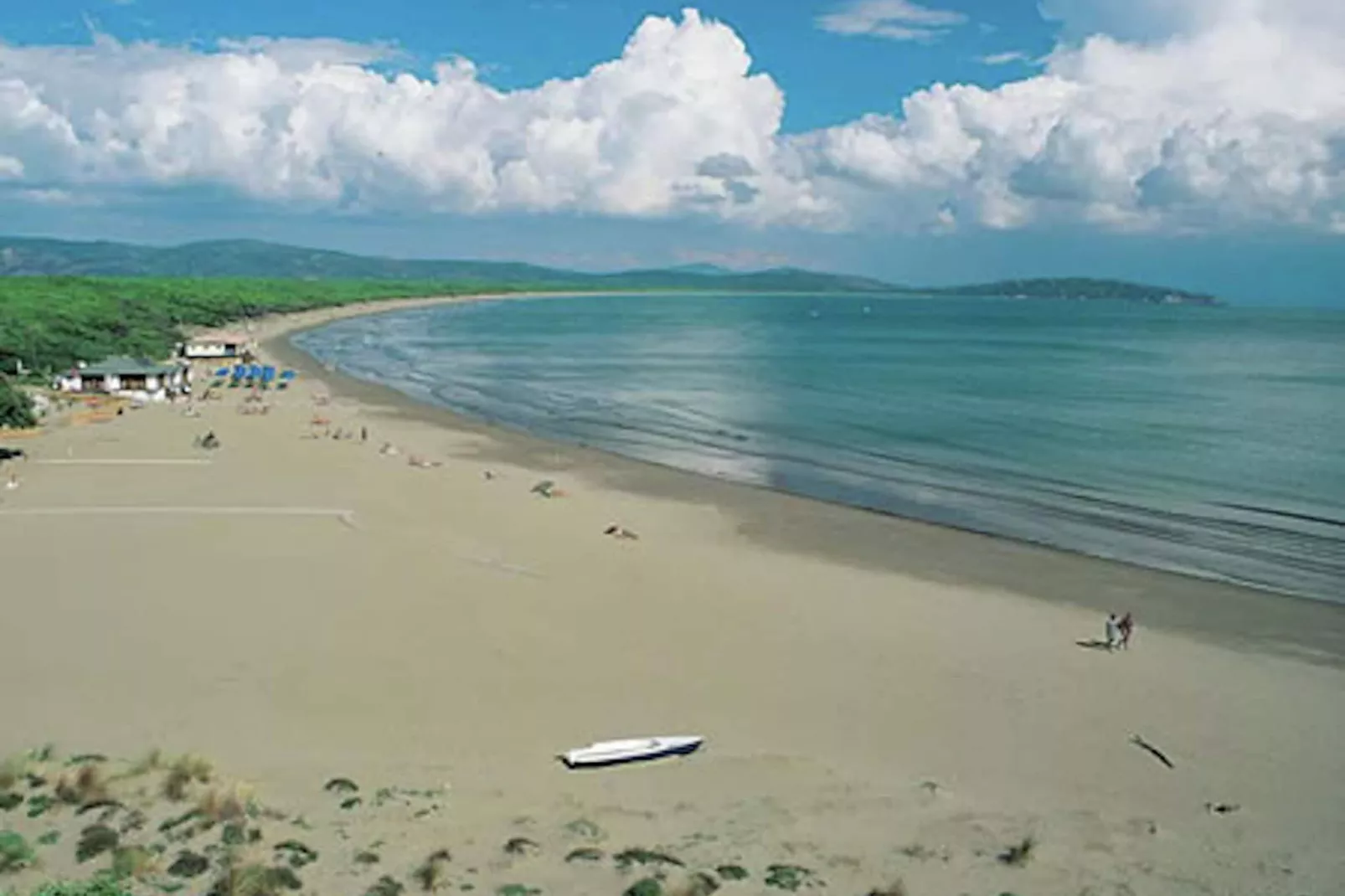 Iana-Areas summer 1km