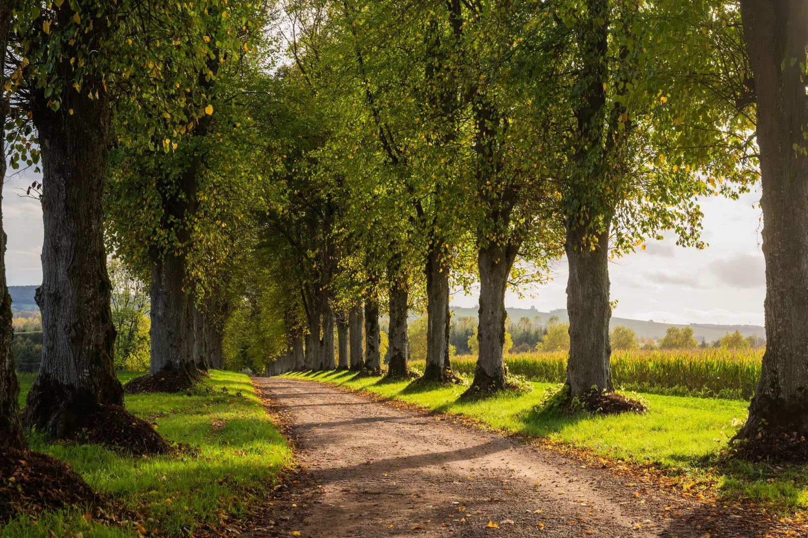 Villa La Belle-Zones d'été à 20 km