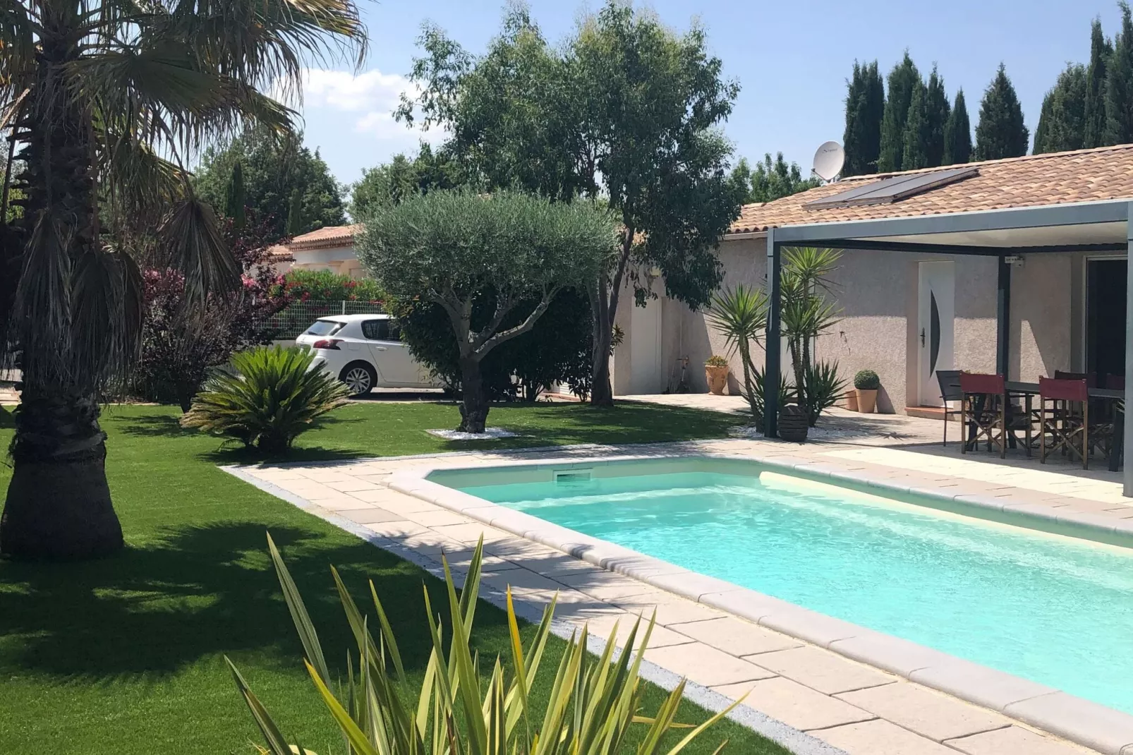 Petit Maure-Pool