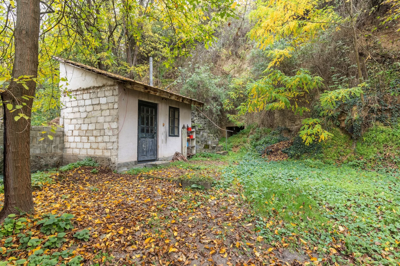 Vakantiewoning Landzicht Hungary-Gardens summer