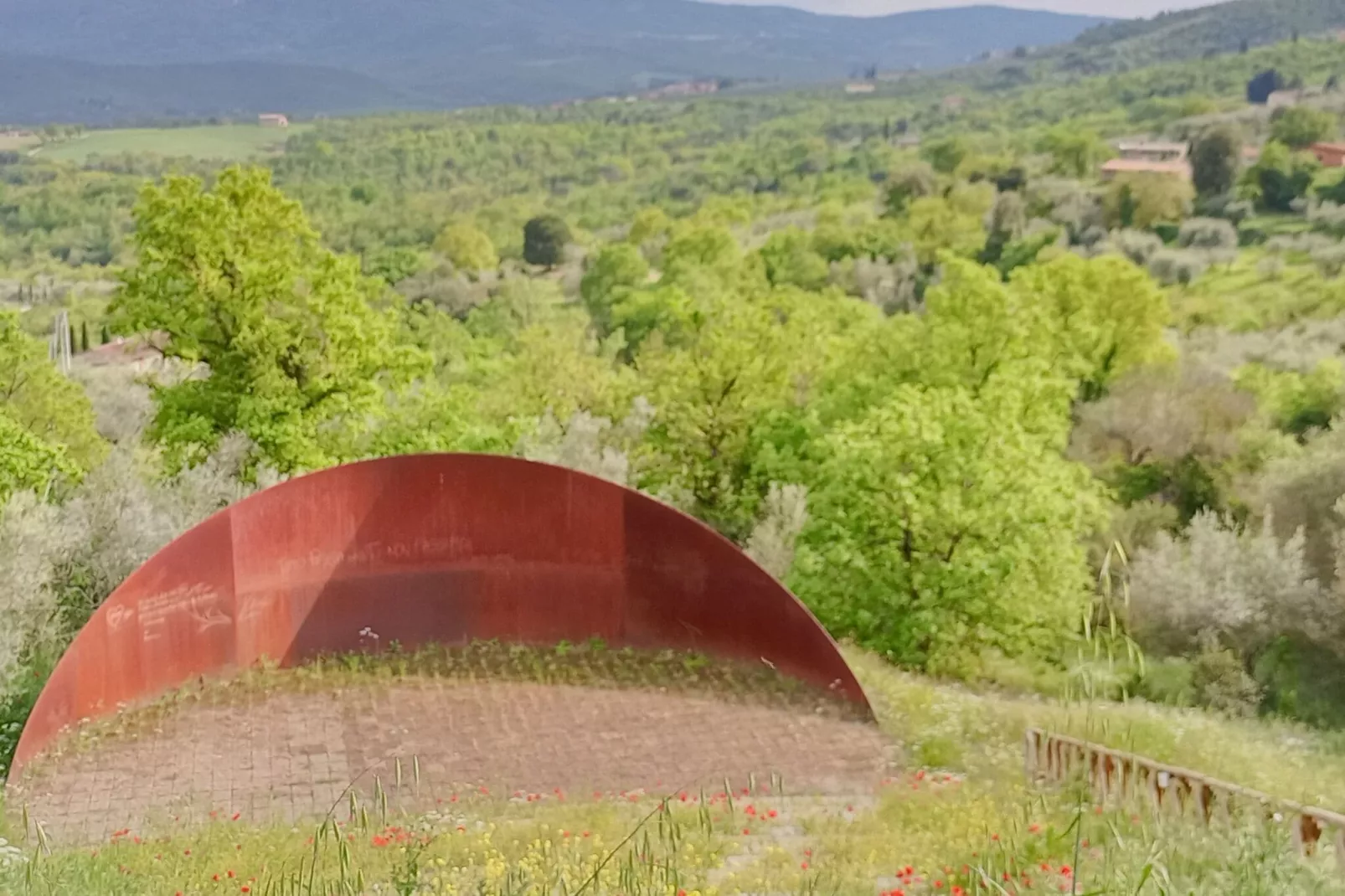 Salvia-Areas within 1km in summer