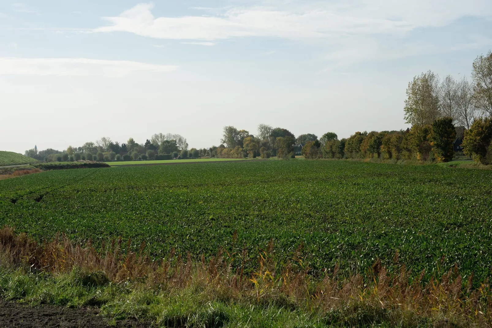 Chalet Janz-Zones d'été à 5 km