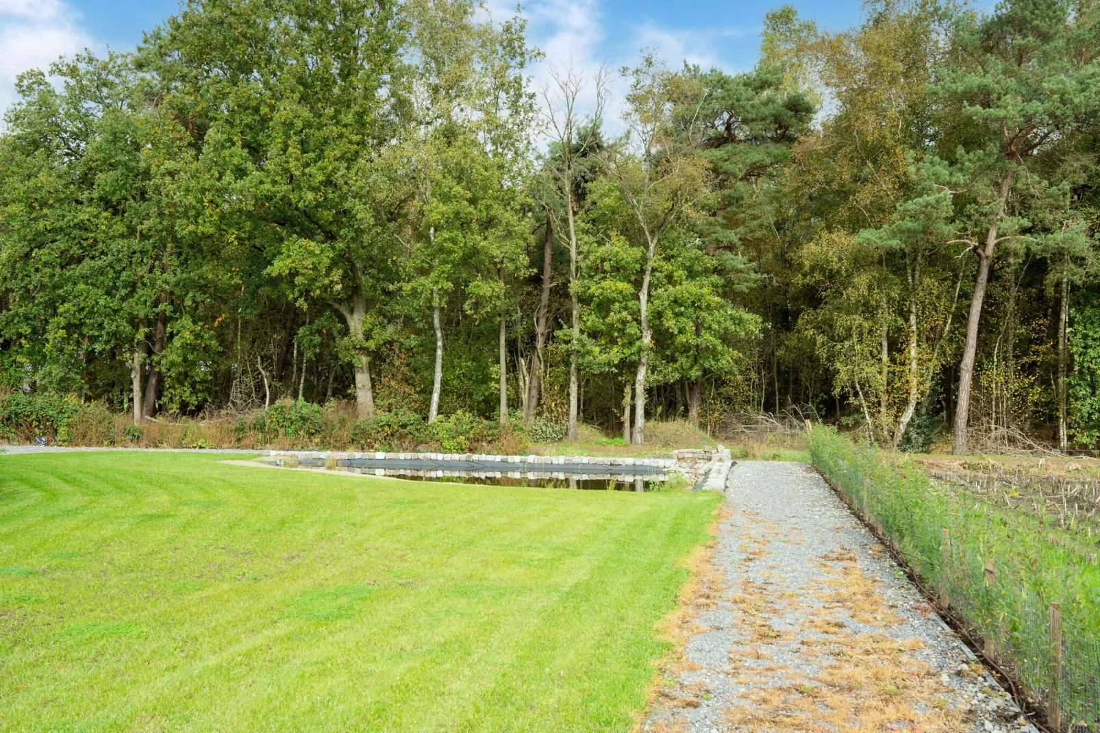 NR 5-Areas summer 1km