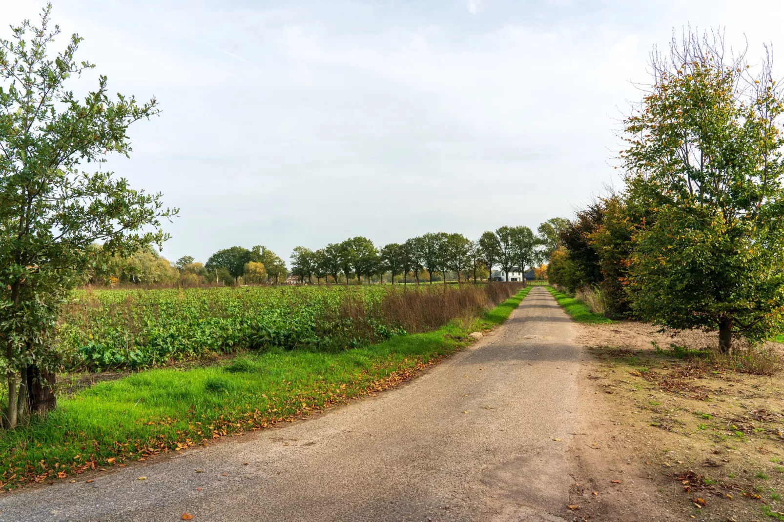 Genieten in Silvolde II-Gebiete Sommer 1 km