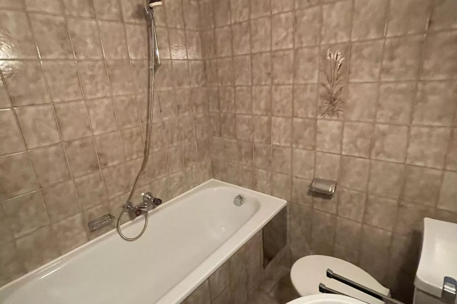 Lechner Edelweiss-Bathroom