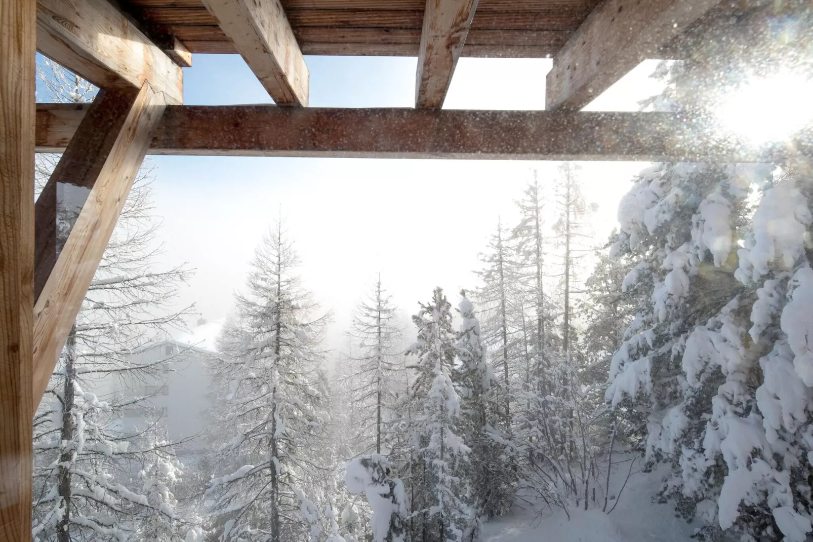 Alpenpark Turrach 1-View winter