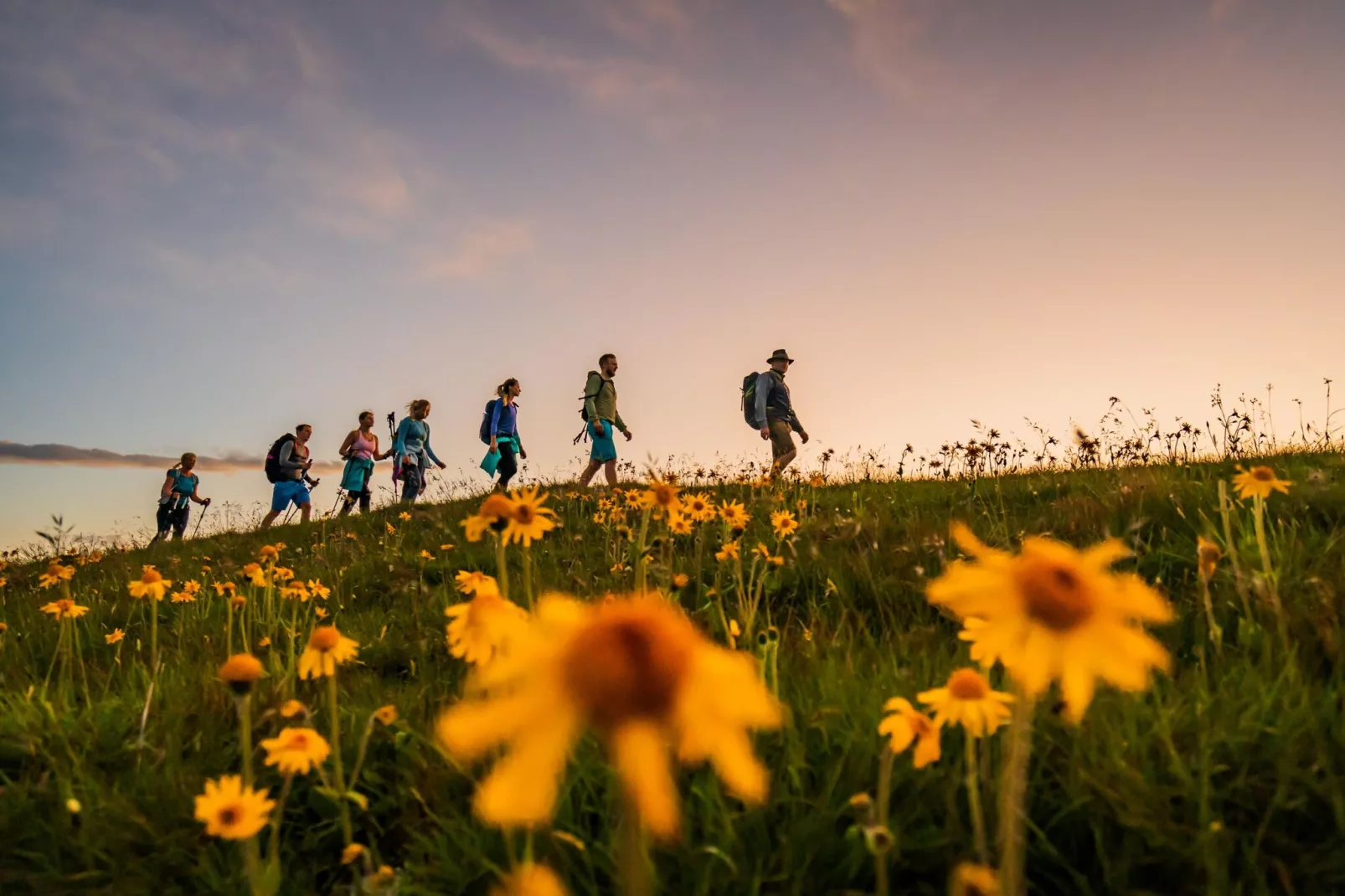 Alpenpark Turrach 14-Areas summer 5km
