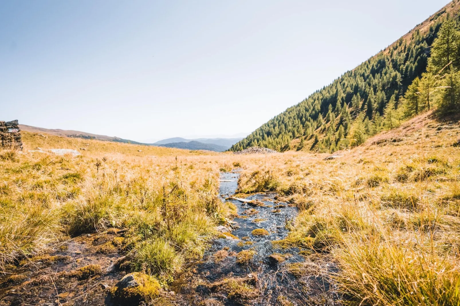 Alpenpark Turrach 5-Areas summer 5km