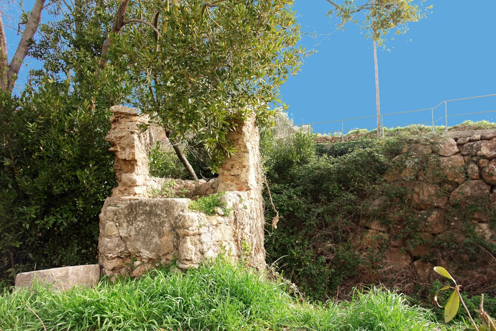 Casa Can Pitchio-Gardens summer