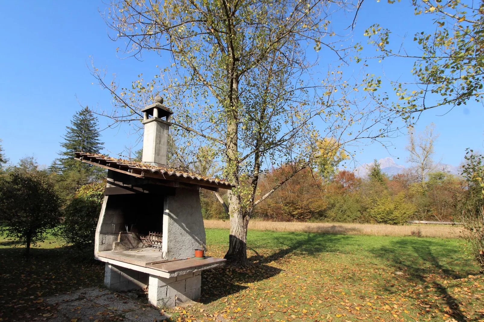 Cason sul Piave-Gardens summer
