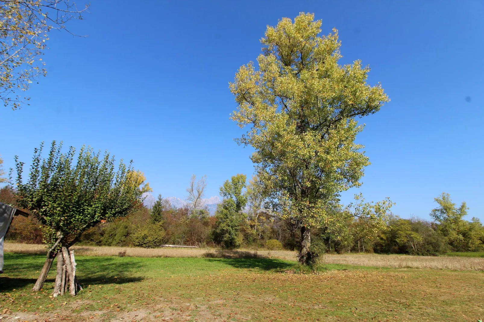 Cason sul Piave-Gardens summer