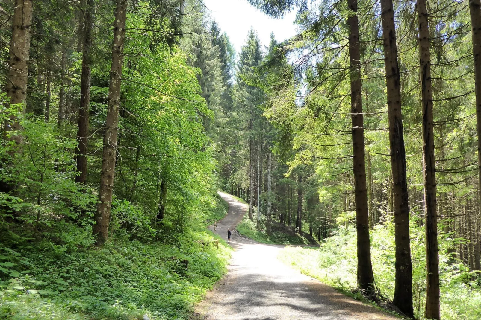 Cason sul Piave-Areas summer 20km