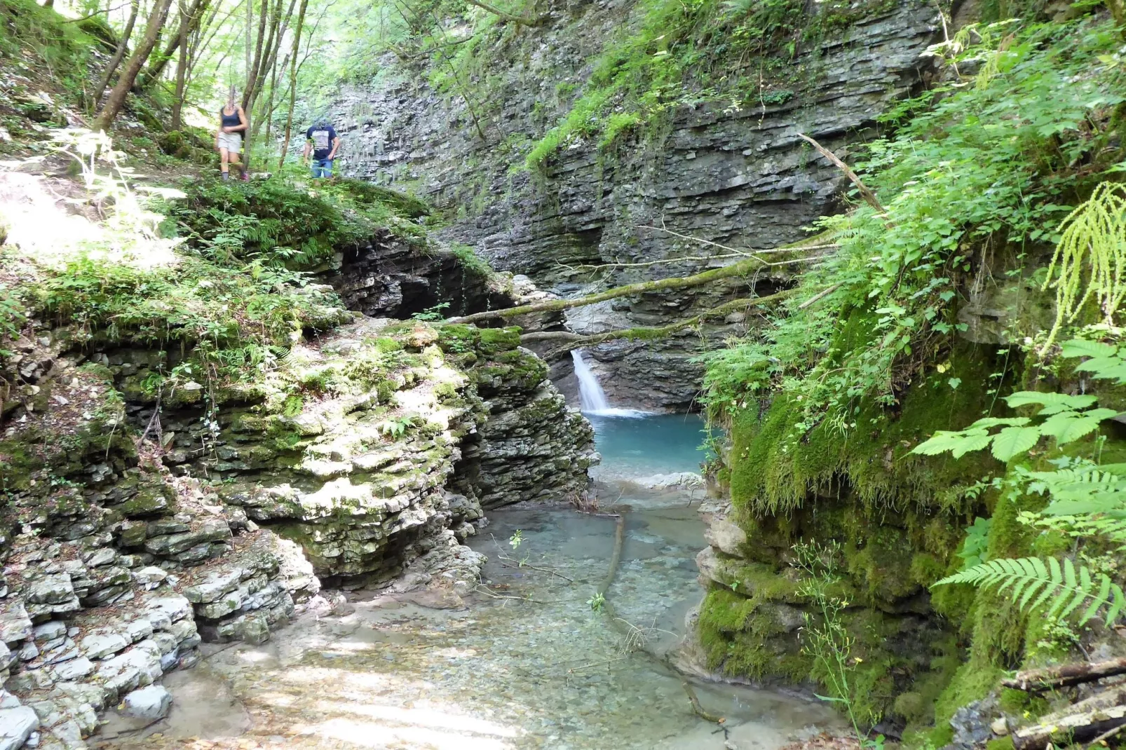 Cason sul Piave-Areas summer 20km