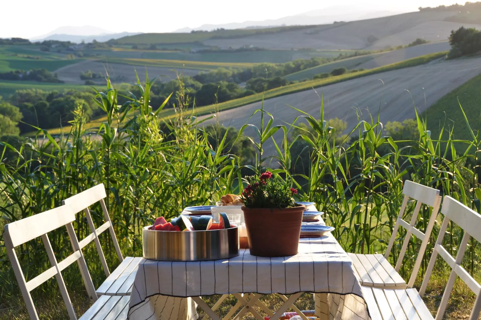 Il Sogno delle Api-Vue d'été