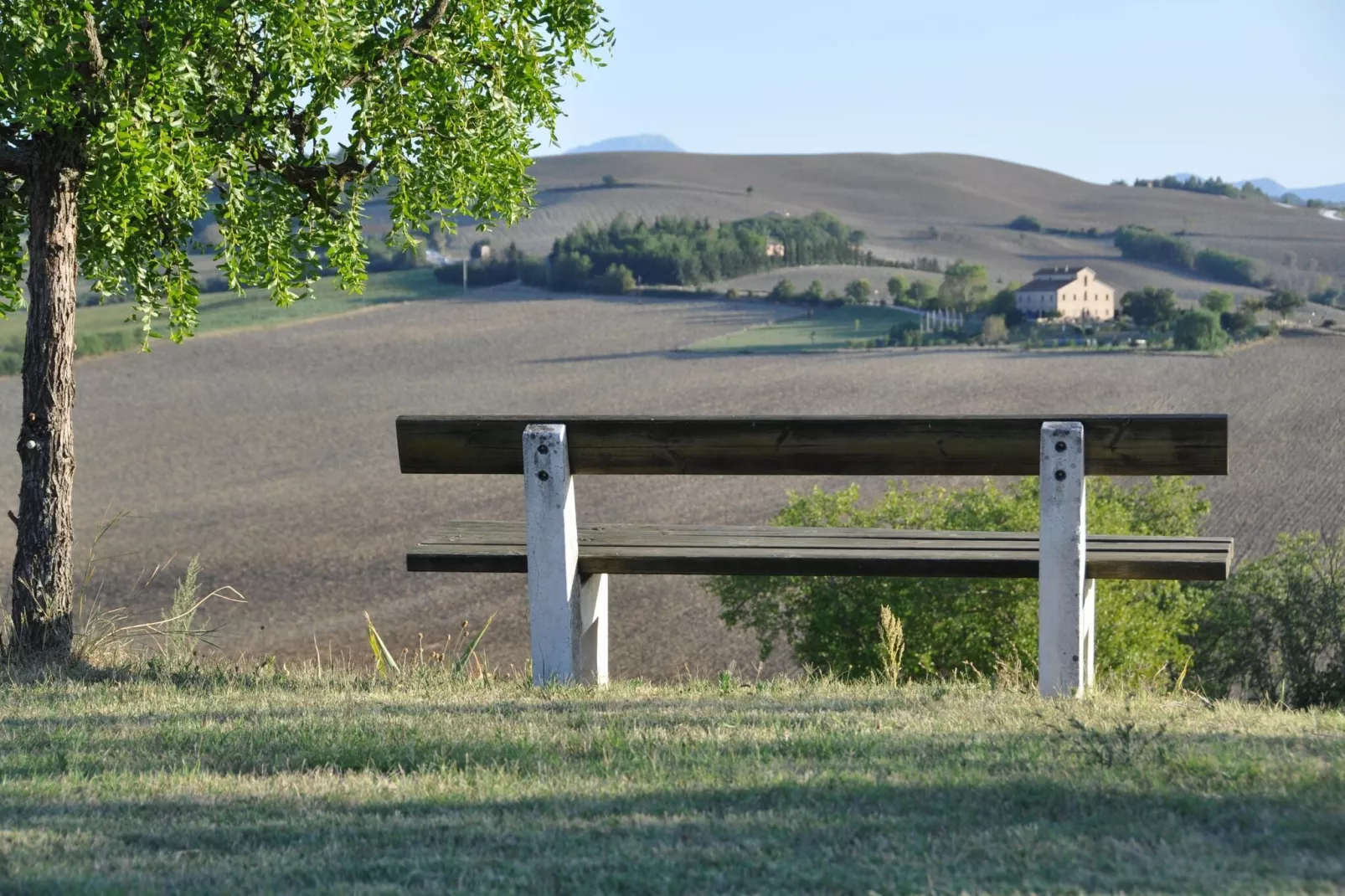 Il Sogno delle Api-Vue d'été