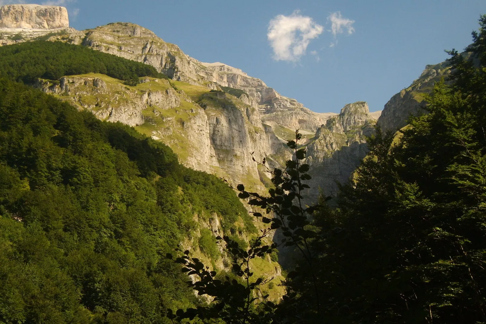 Villa Insieme-Areas summer 1km