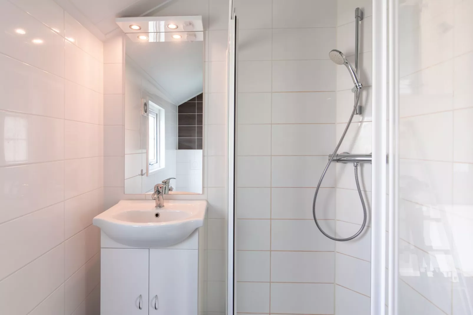 Vakantiepark Leukermeer 12-Badezimmer