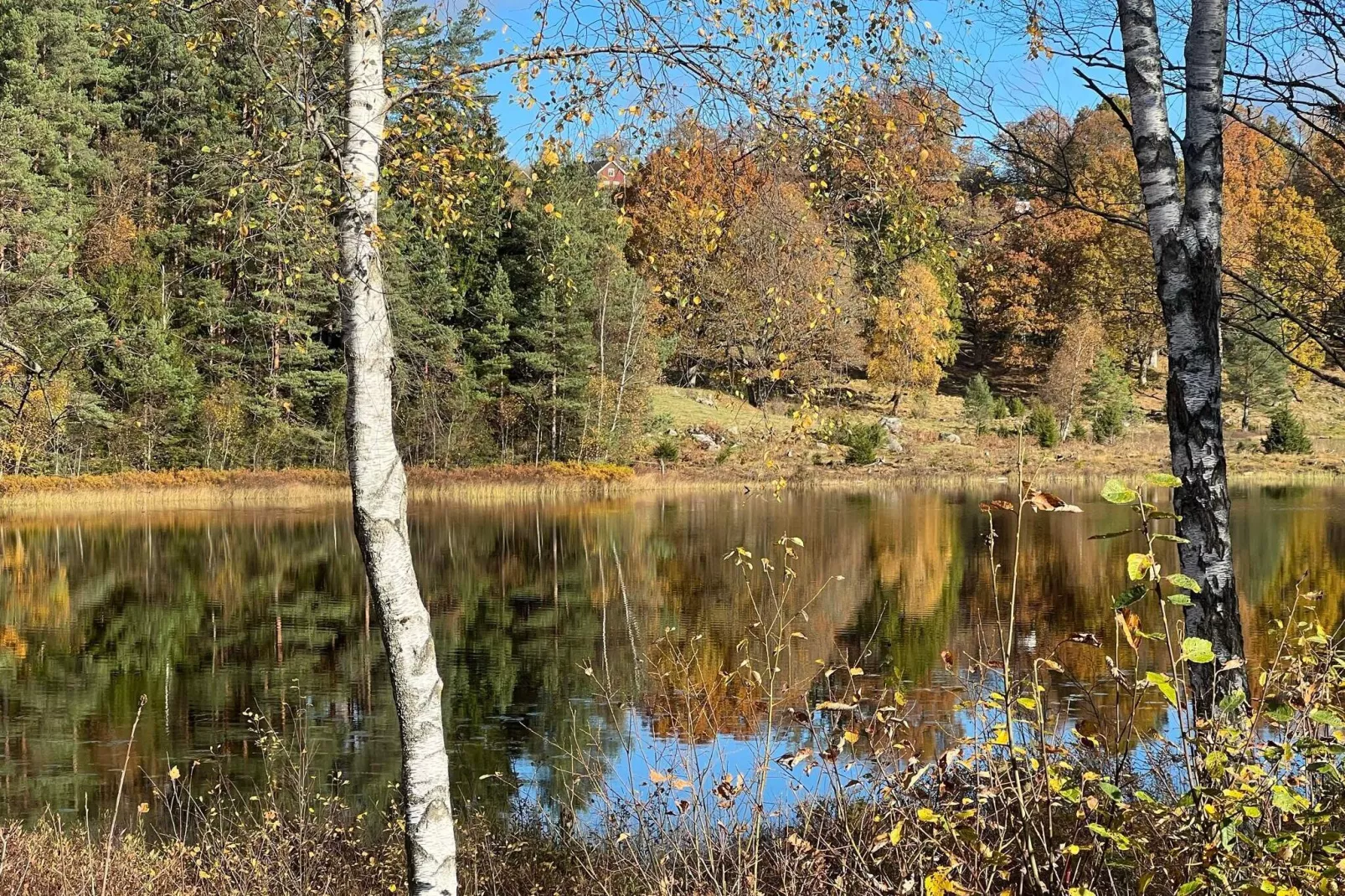 4 person holiday home in Hillerstorp-By Traum-Not tagged