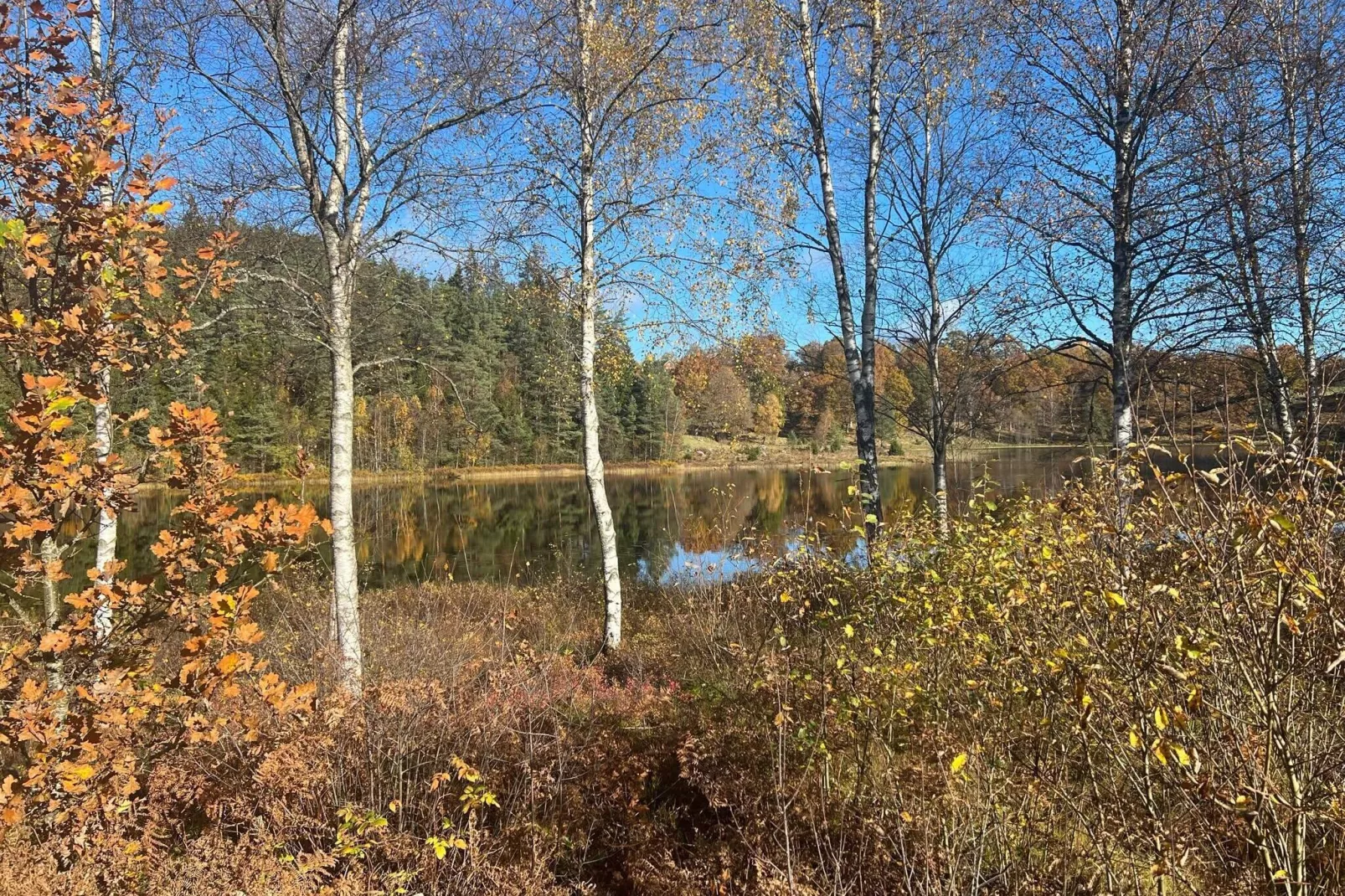 4 person holiday home in Hillerstorp-By Traum-Not tagged